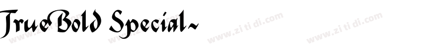 True Bold Special字体转换